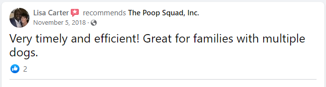Local Dog poop clean up service review Poop Squad