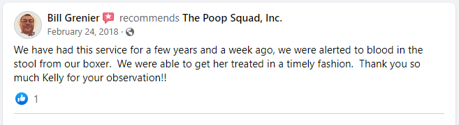 Poop Scooping Yard Cleaning Service Review Poop Squad Louisville