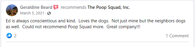 Poop Squad Review